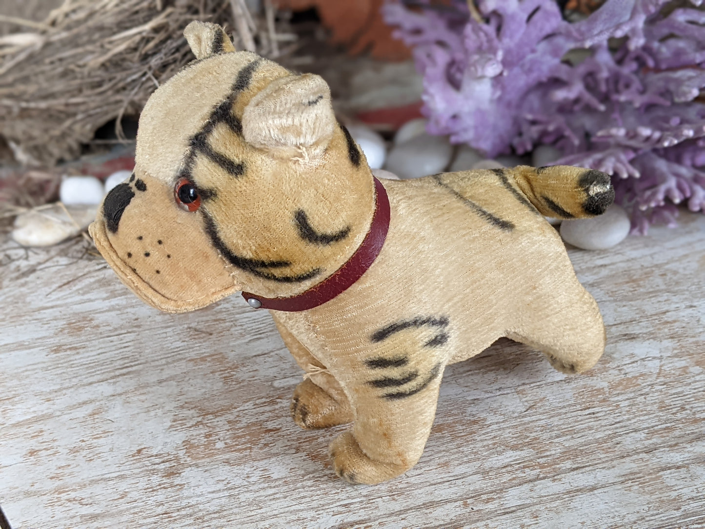 1950s Straw Stuffed Bulldog **Amazing Condition