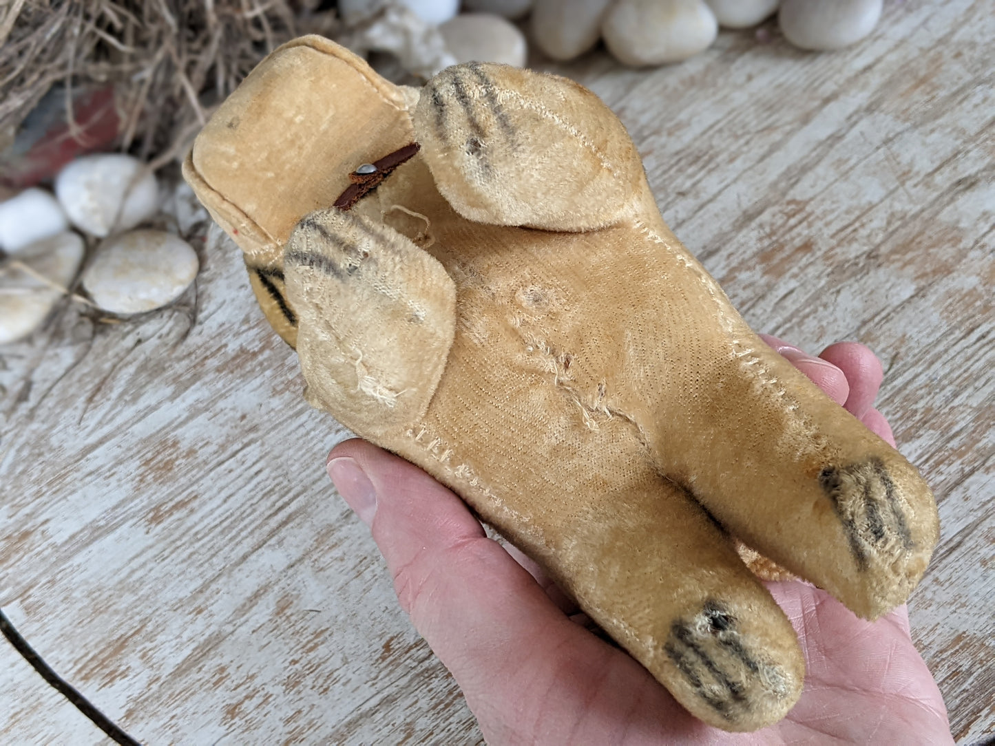 1950s Straw Stuffed Bulldog **Amazing Condition