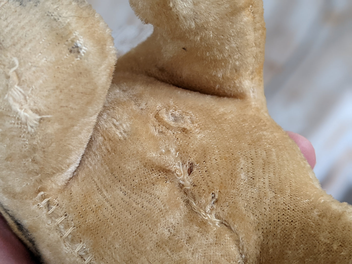 1950s Straw Stuffed Bulldog **Amazing Condition