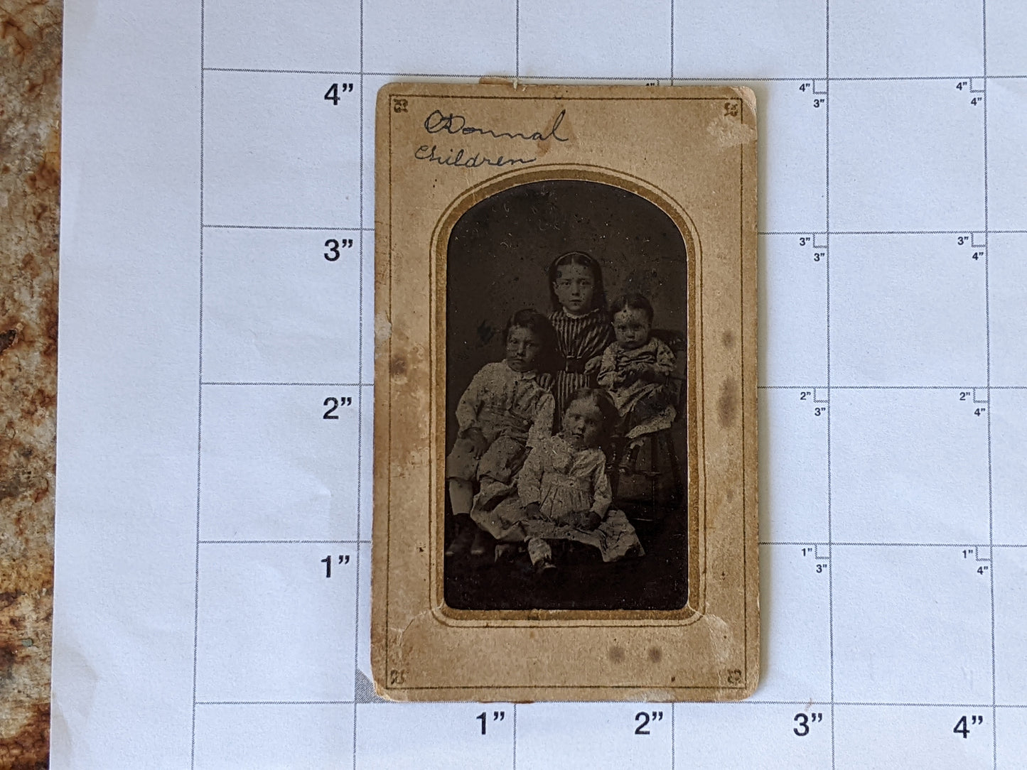 Vintage Tintype Studio Portrait of Odonnal Children