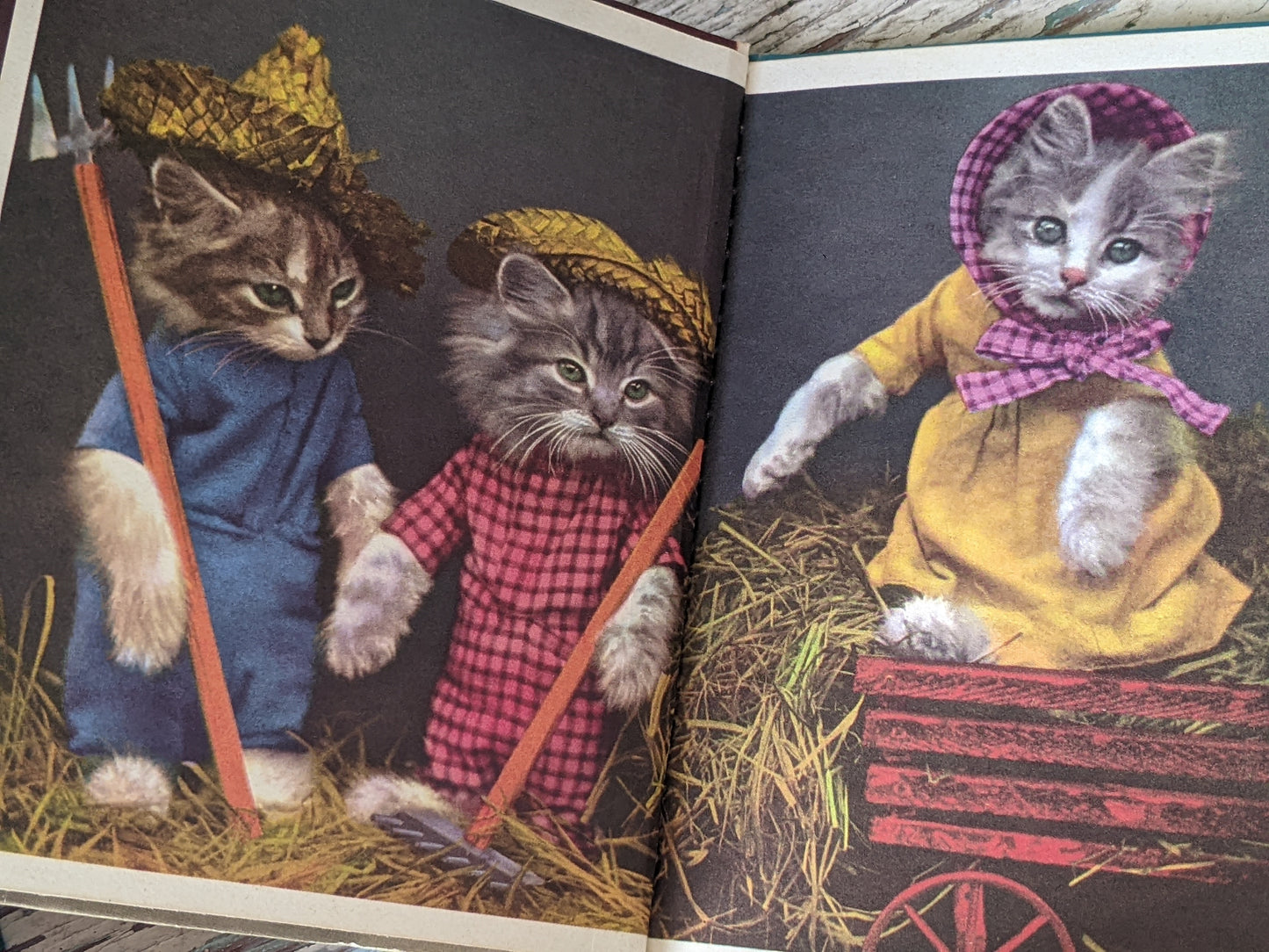 1941 The Little Kittens' Nursery Rhymes Hardcover by Rand McNally 440-25 **Book-Elf Books
