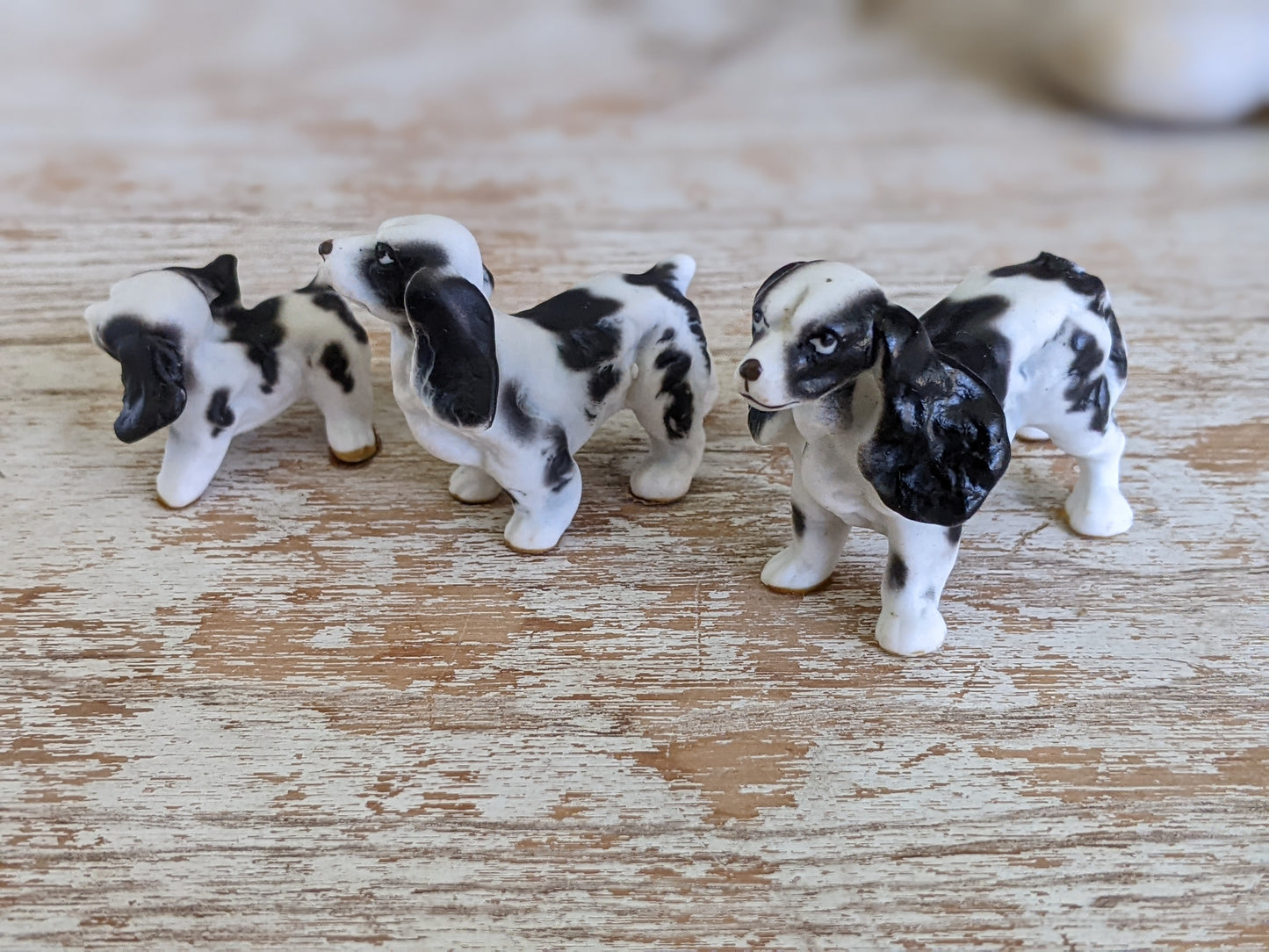 1950s Cocker Spaniel Family Bone China Japan **Set of 3