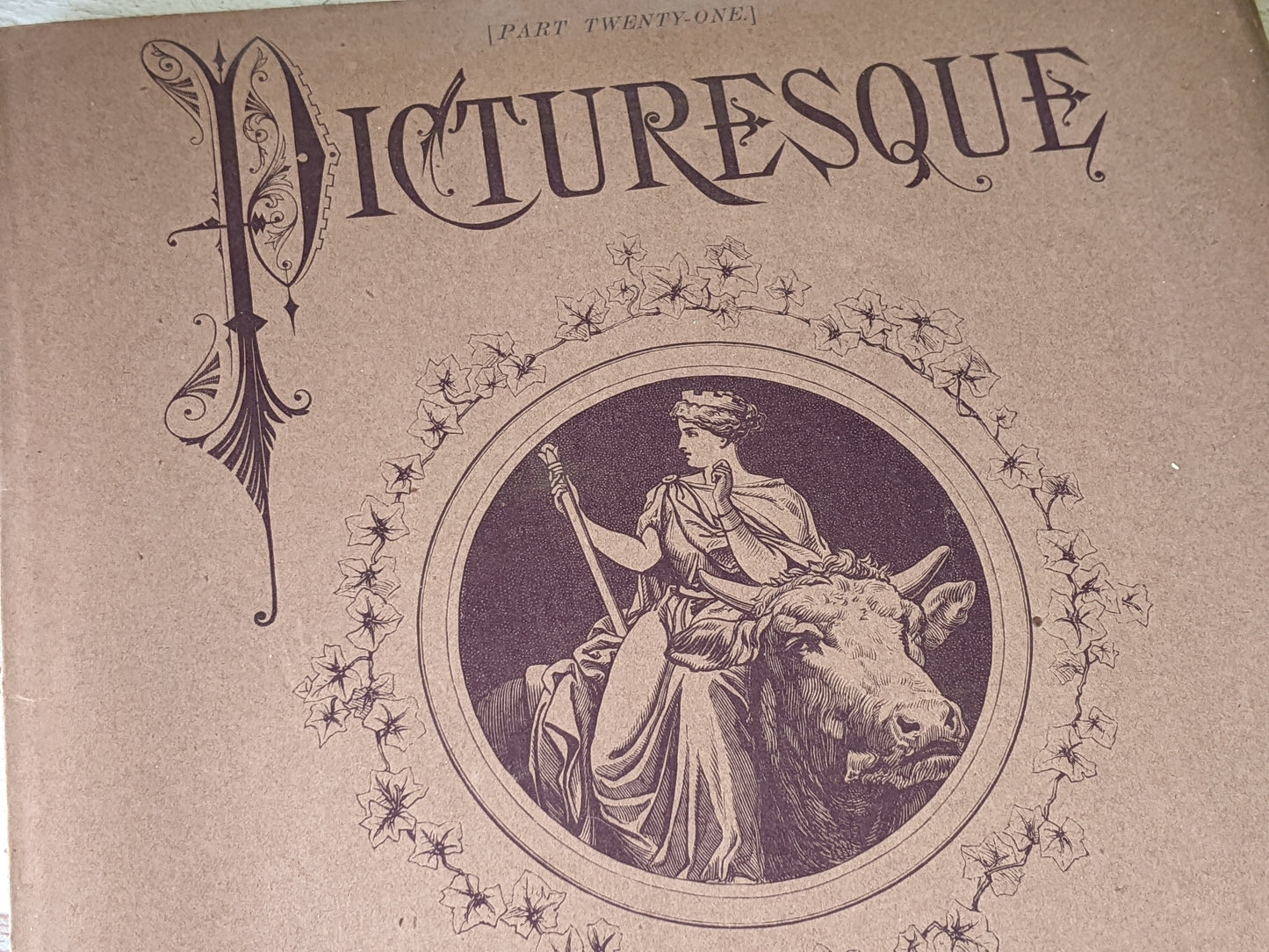 1877 Vol. 21 Twenty-One Picturesque Europe !! Unbelievably Rare Find !! D. Appleton & Co. Original Etchings !! Rare Antique Gifts !!