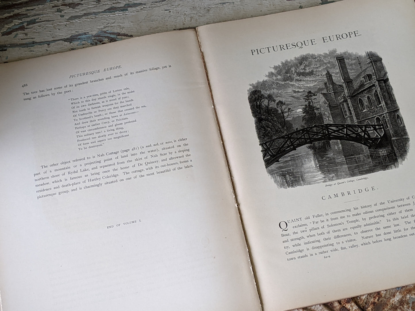 1877 Vol. 21 Twenty-One Picturesque Europe !! Unbelievably Rare Find !! D. Appleton & Co. Original Etchings !! Rare Antique Gifts !!