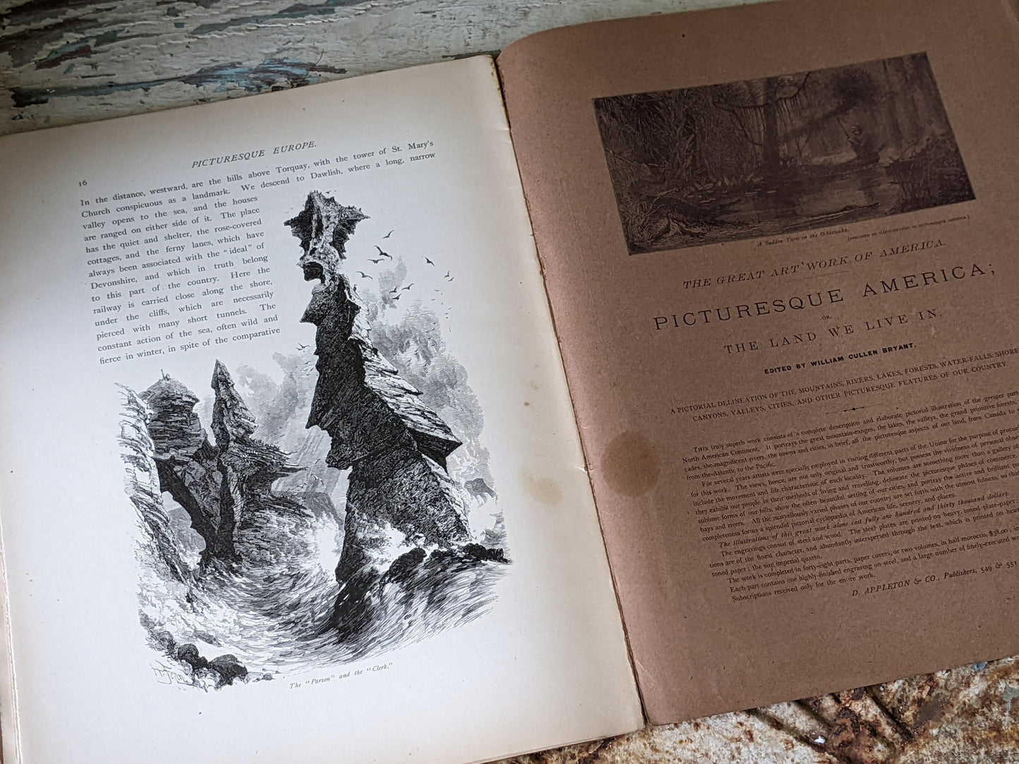 1877 Vol. 21 Twenty-One Picturesque Europe !! Unbelievably Rare Find !! D. Appleton & Co. Original Etchings !! Rare Antique Gifts !!