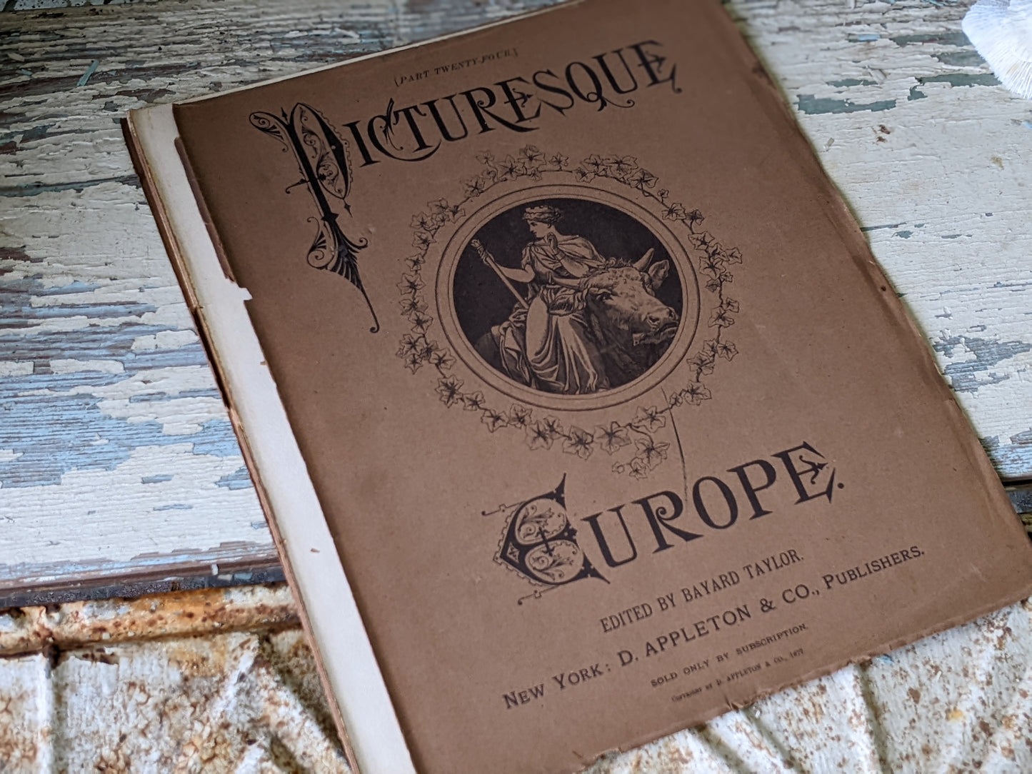 1877 Vol. 24 Twenty-Four Picturesque Europe !! Unbelievably Rare Find !! D. Appleton & Co. Original Etchings !! Rare Antique Gifts !!