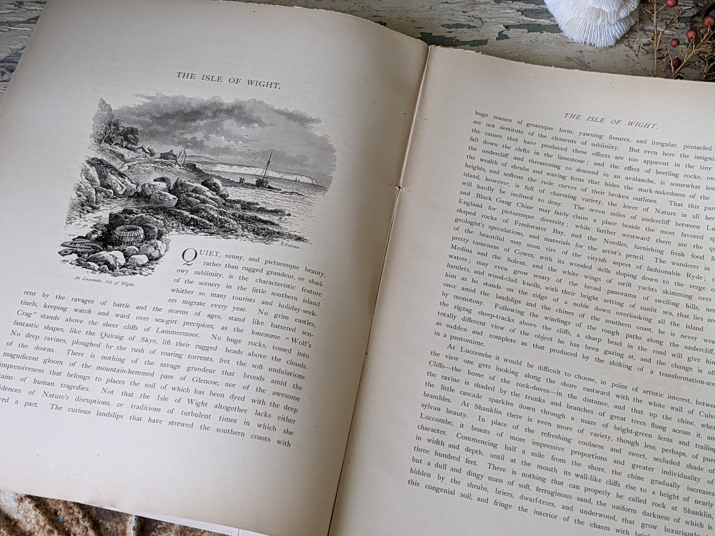 1877 Vol. 24 Twenty-Four Picturesque Europe !! Unbelievably Rare Find !! D. Appleton & Co. Original Etchings !! Rare Antique Gifts !!