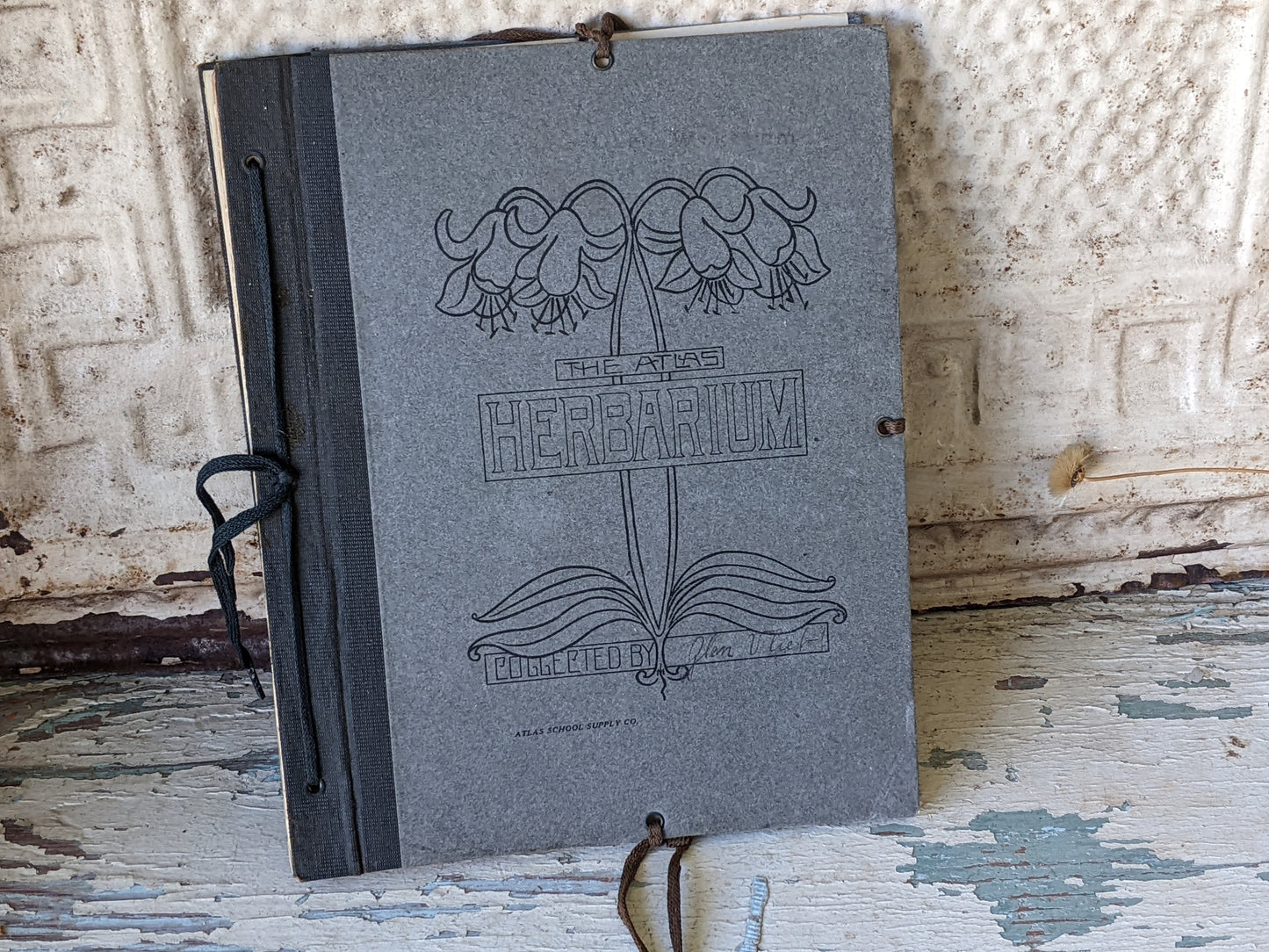 1909 Glen VLiet !! Rare Find !! The Atlas Herbarium Portfolio Dried Flowers Sketches 25 Plate Specimens Kansas !! Amazing Vintage Gifts !!