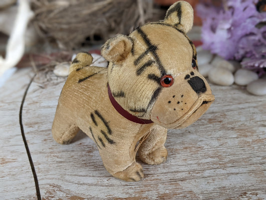 1950s Straw Stuffed Bulldog **Amazing Condition