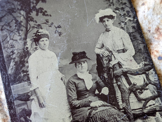 Vintage Tintype Studio Portrait Three Women