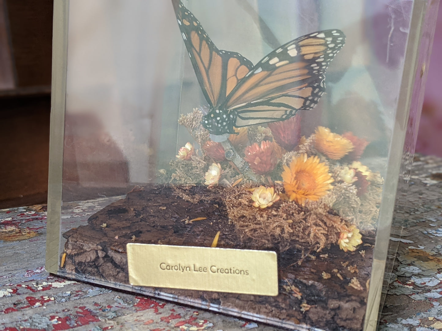 1970s / 1980s Unique Butterfly Diorama Plexiglass Nature In A Box !! Vintage Unique Gifts !!