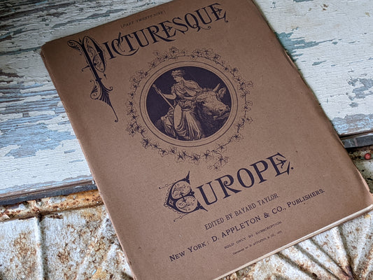 1877 Vol. 29 Twenty-Nine Picturesque Europe !! Unbelievably Rare Find !! D. Appleton & Co. Original Etchings !! Rare Antique Gifts !!