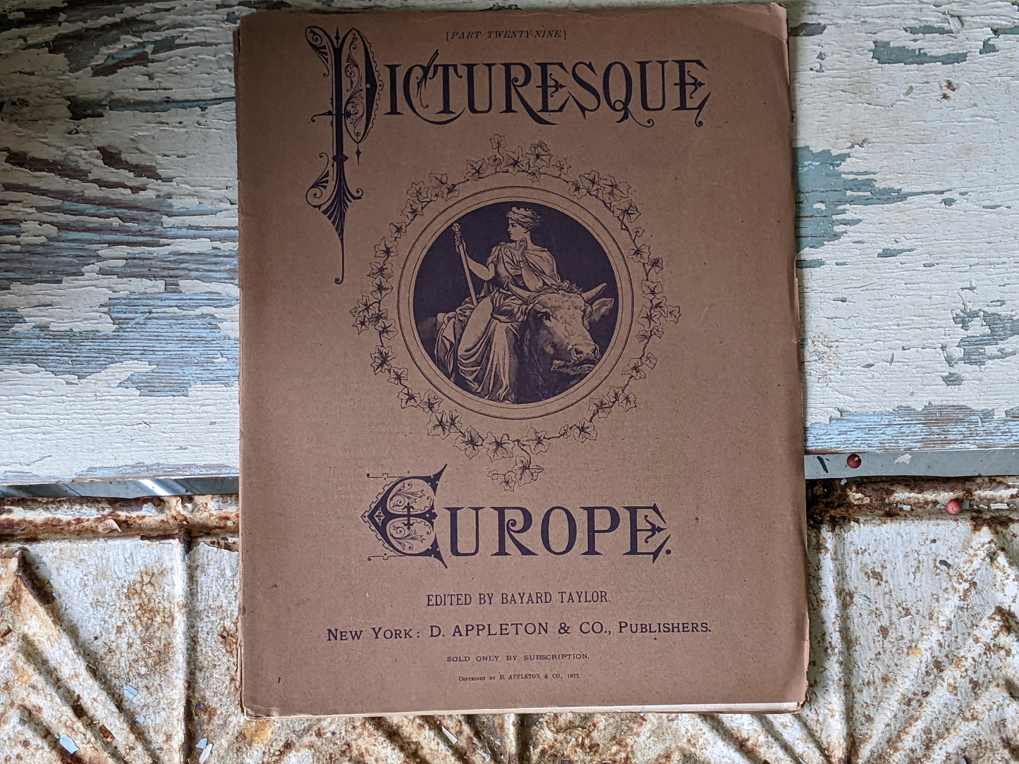 1877 Vol. 29 Twenty-Nine Picturesque Europe !! Unbelievably Rare Find !! D. Appleton & Co. Original Etchings !! Rare Antique Gifts !!