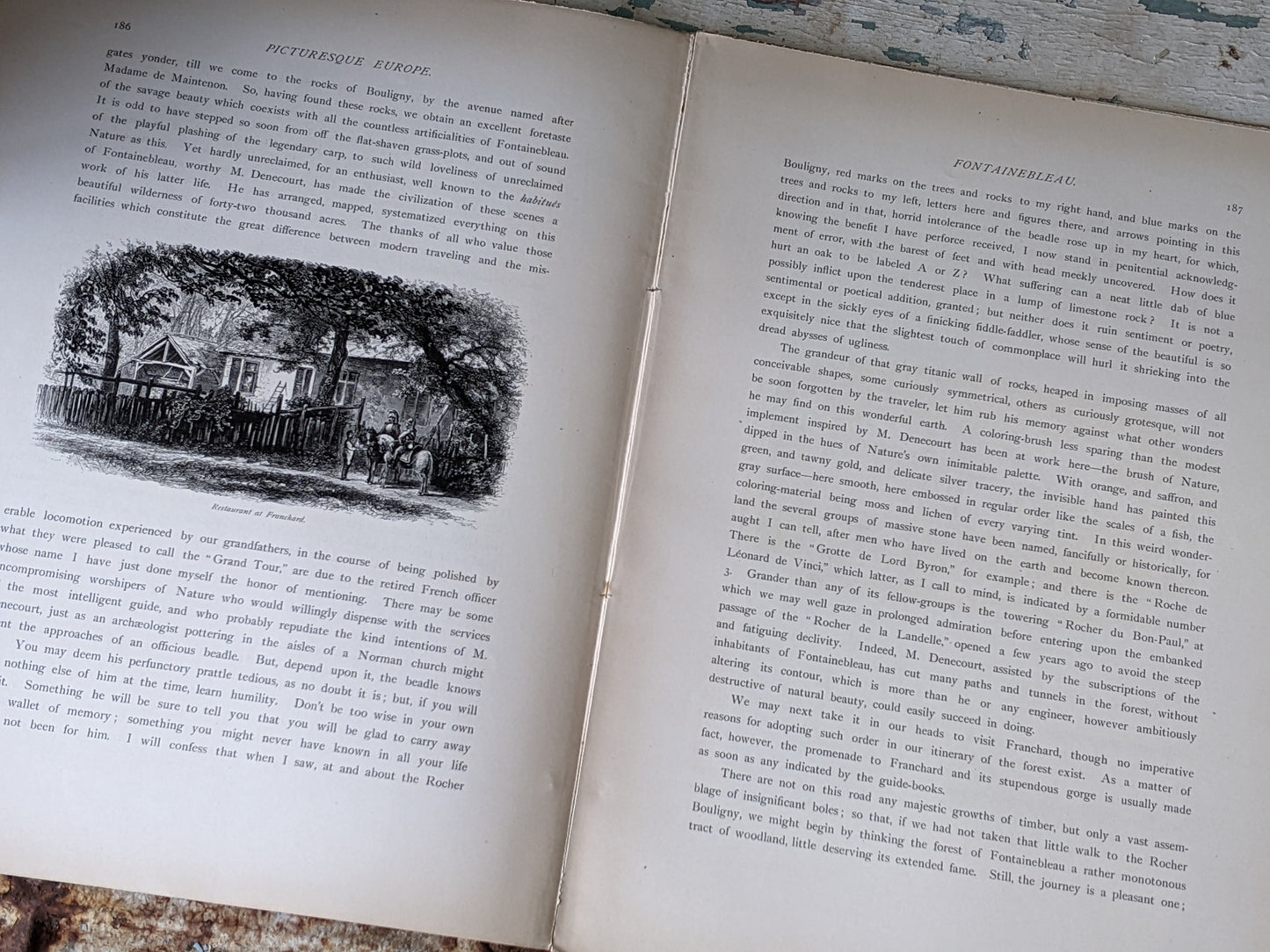 1877 Vol. 29 Twenty-Nine Picturesque Europe !! Unbelievably Rare Find !! D. Appleton & Co. Original Etchings !! Rare Antique Gifts !!