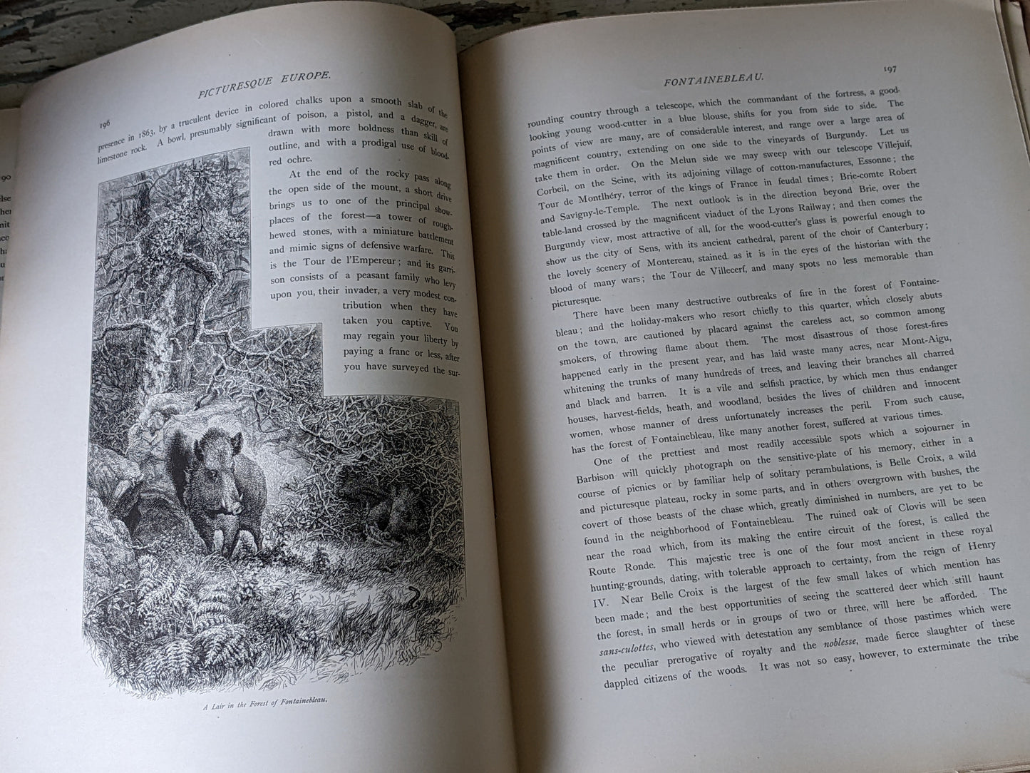 1877 Vol. 29 Twenty-Nine Picturesque Europe !! Unbelievably Rare Find !! D. Appleton & Co. Original Etchings !! Rare Antique Gifts !!