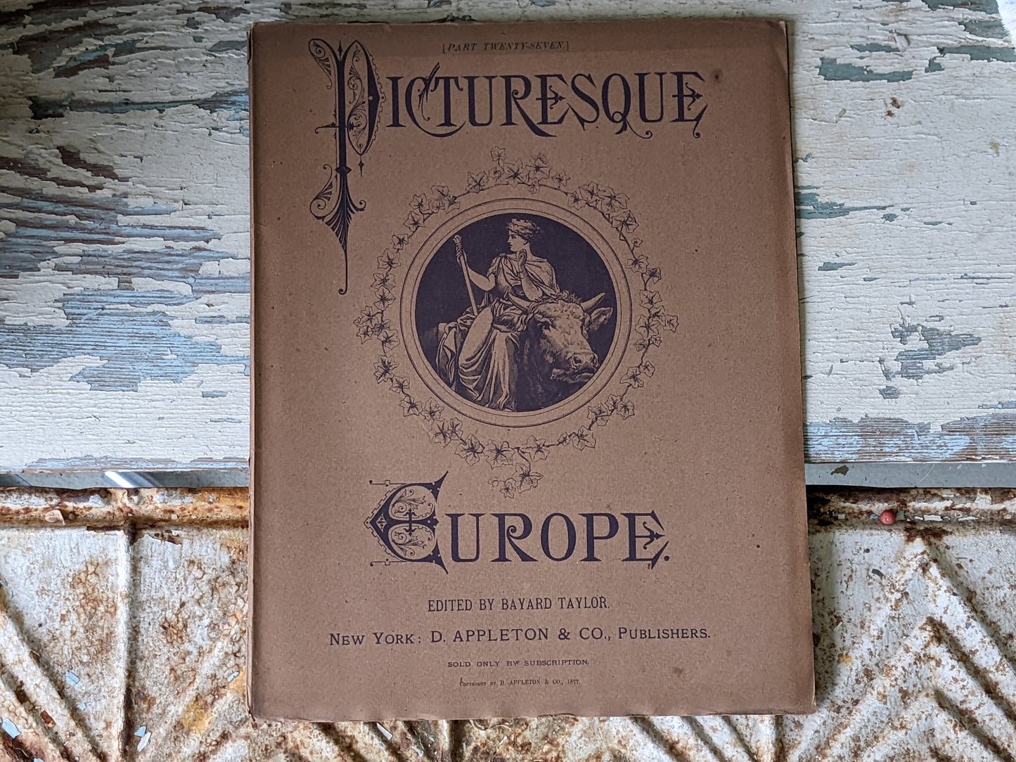 1877 Vol. 27 Twenty-Seven Picturesque Europe !! Unbelievably Rare Find !! D. Appleton & Co. Original Etchings !! Rare Antique Gifts !!