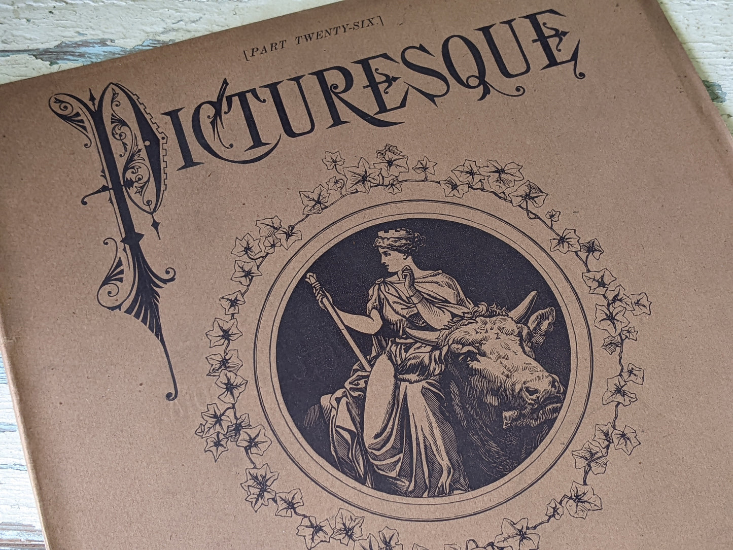 1877 Vol. 26 Twenty-Six Picturesque Europe !! Unbelievably Rare Find !! D. Appleton & Co. Original Etchings !! Rare Antique Gifts !!