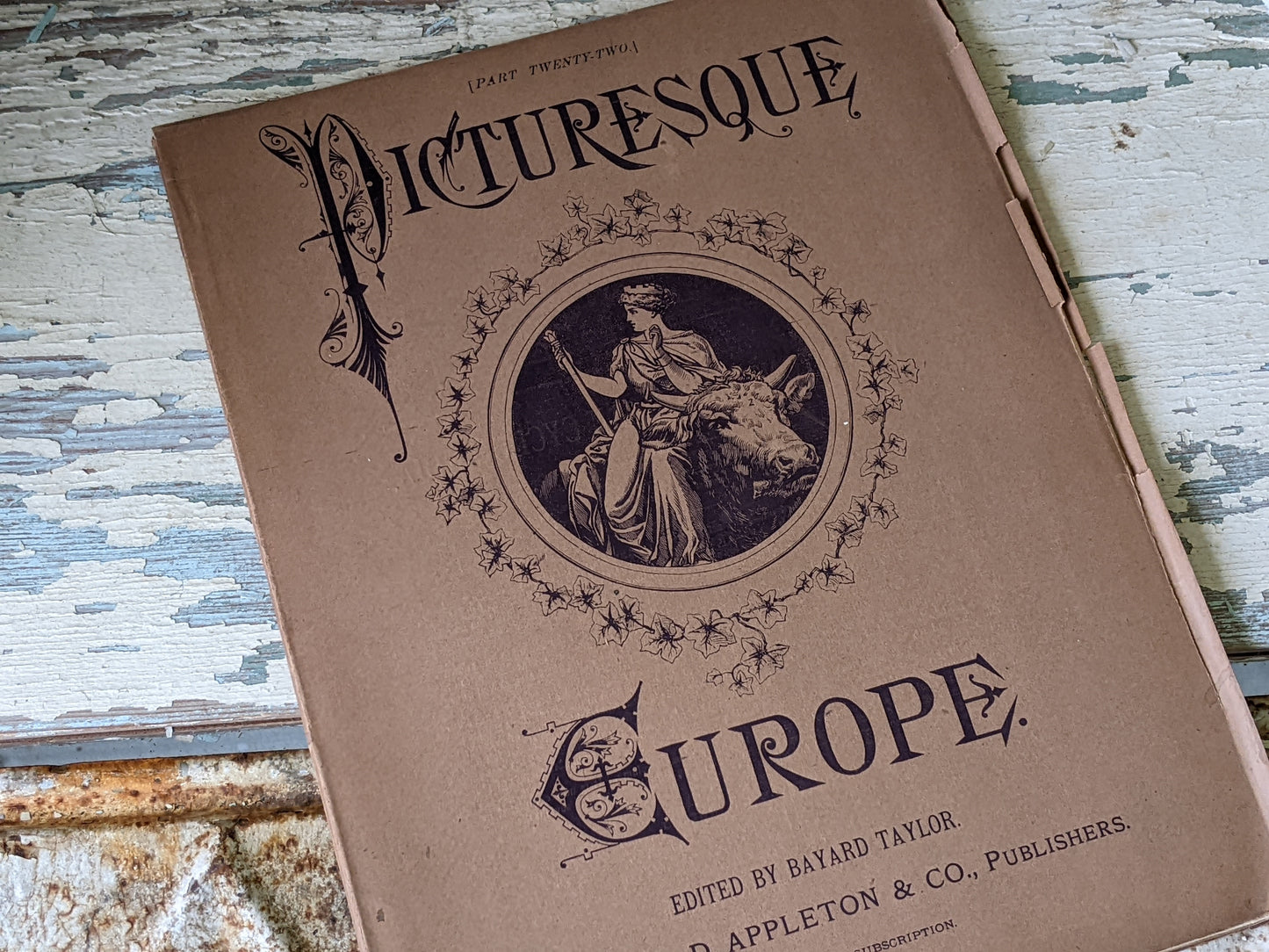 1877 Vol. 22 Twenty-Two Picturesque Europe !! Unbelievably Rare Find !! D. Appleton & Co. Original Etchings !! Rare Antique Gifts !!