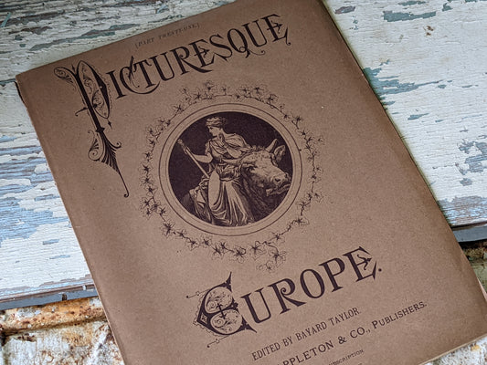 1877 Vol. 21 Twenty-One Picturesque Europe !! Unbelievably Rare Find !! D. Appleton & Co. Original Etchings !! Rare Antique Gifts !!