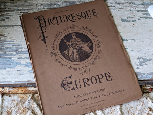 1877 Vol. 24 Twenty-Four Picturesque Europe !! Unbelievably Rare Find !! D. Appleton & Co. Original Etchings !! Rare Antique Gifts !!