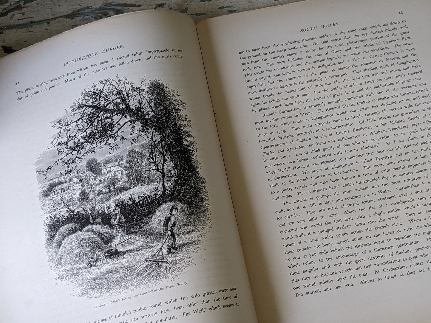 1877 Vol. 23 Twenty-Three Picturesque Europe !! Unbelievably Rare Find !! D. Appleton & Co. Original Etchings !! Rare Antique Gifts !!