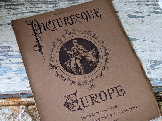 1877 Vol. 25 Twenty-Five Picturesque Europe !! Unbelievably Rare Find !! D. Appleton & Co. Original Etchings !! Rare Antique Gifts !!