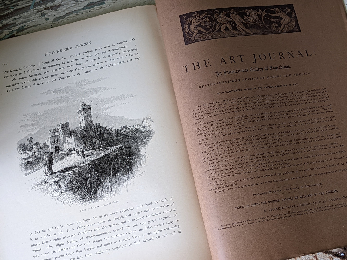 1877 Vol. 25 Twenty-Five Picturesque Europe !! Unbelievably Rare Find !! D. Appleton & Co. Original Etchings !! Rare Antique Gifts !!