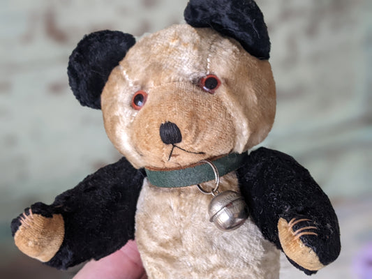 1930s !! Rare Velvet Panda Bear Jointed Straw Stuffed Glass Eyes Leather Collar & Bell !! Amazing Vintage Gifts Antique Collectibles !!